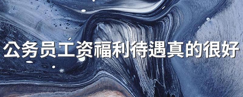 公务员工资福利待遇真的很好吗 什么专业适合考公务员