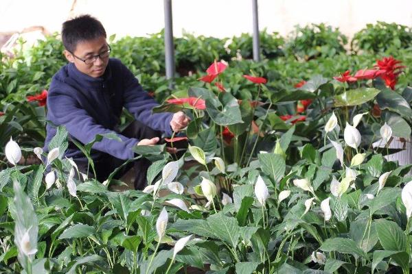 花卉种植技术在哪里学，建议报培训班