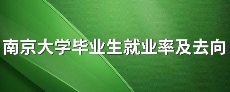 南京大学毕业生就业率及去向 2023就业前景怎么样