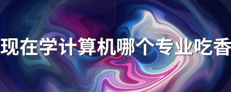 现在学计算机哪个专业吃香 什么专业好