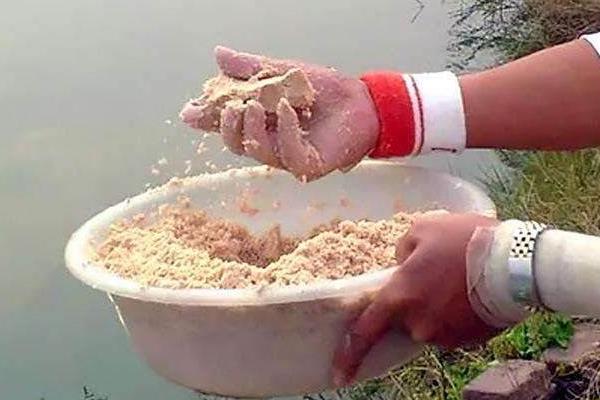 钓鳗鱼最好用什么饵料  钓鳗鱼的方法