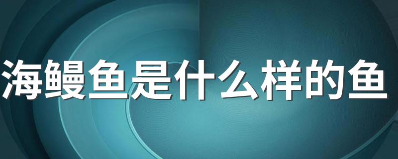 海鳗鱼是什么样的鱼 海鳗鱼的挑选方法