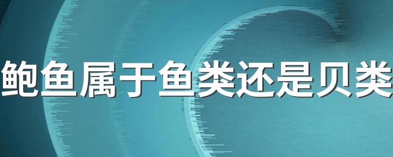 鲍鱼属于鱼类还是贝类 鲍鱼的由来是怎么样的