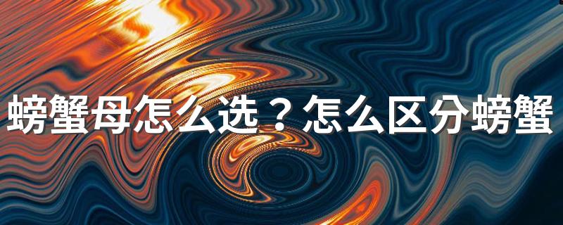 螃蟹母怎么选？怎么区分螃蟹是公螃蟹还是母螃蟹？