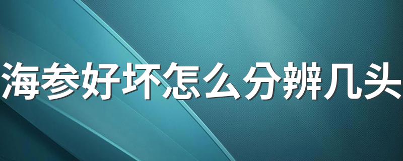 海参好坏怎么分辨几头 如何挑选海参