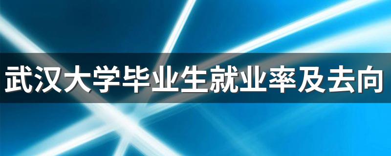 武汉大学毕业生就业率及去向 2023就业前景怎么样