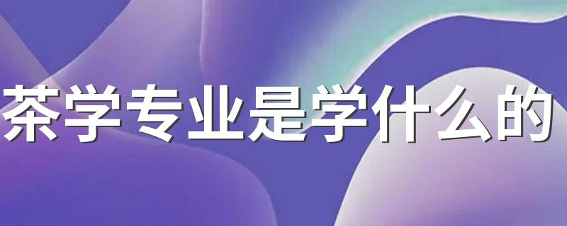 茶学专业是学什么的 是冷门的专业吗