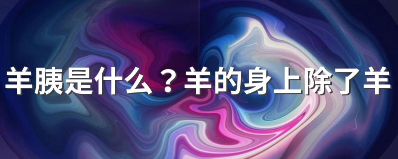 羊胰是什么？羊的身上除了羊胰能吃还有哪些地方能吃？