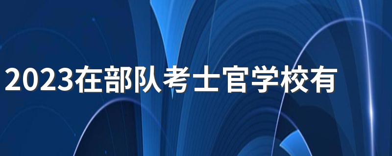 2023在部队考士官学校有哪些专业 什么专业适合部队长干