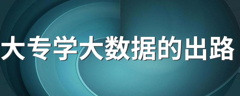 大专学大数据的出路 能做哪些工作