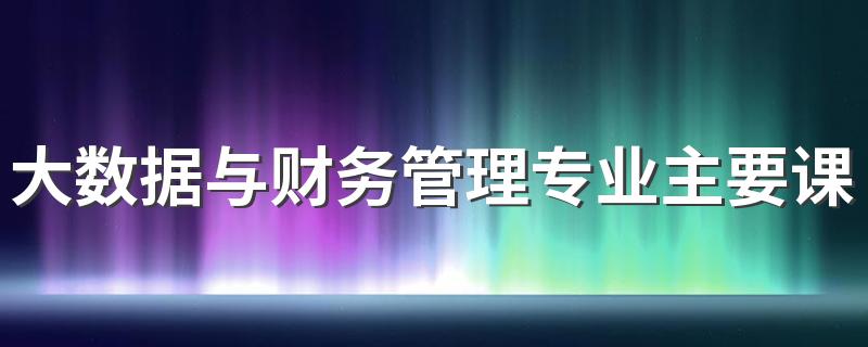 大数据与财务管理专业主要课程 学什么