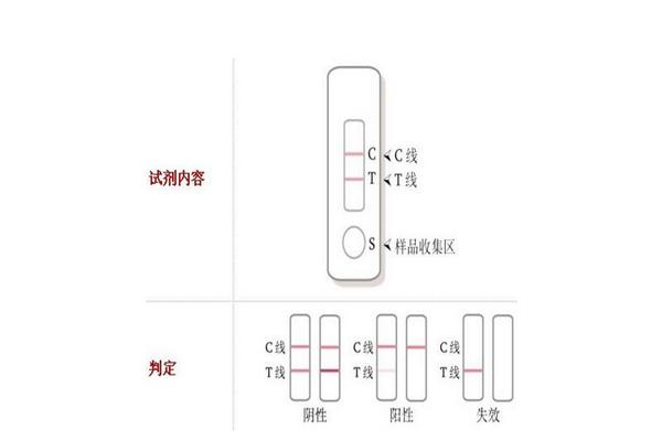 猪瘦肉精检测卡怎么看