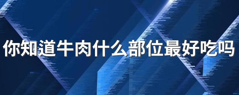 你知道牛肉什么部位最好吃吗？怎么判断肉的品质呢？