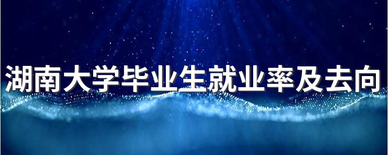 湖南大学毕业生就业率及去向 2023就业前景怎么样