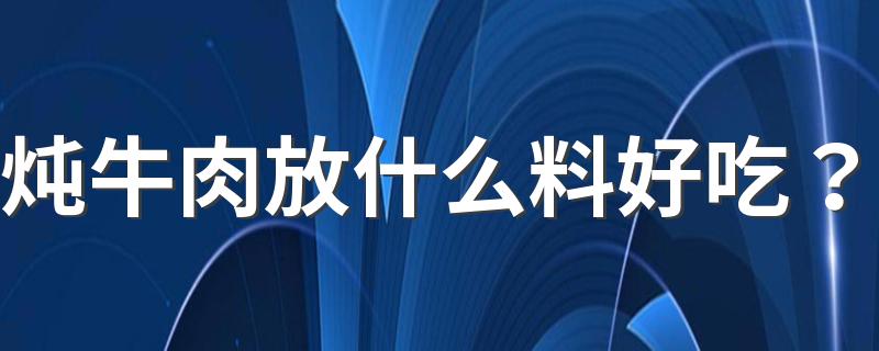 炖牛肉放什么料好吃？