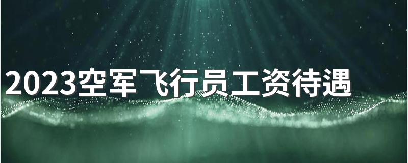 2023空军飞行员工资待遇排名 年薪多少