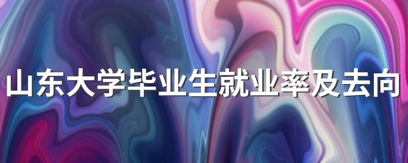 山东大学毕业生就业率及去向 2023就业前景怎么样