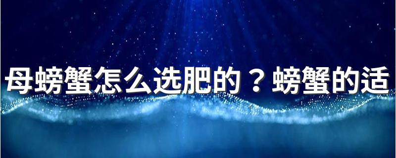 母螃蟹怎么选肥的？螃蟹的适宜食用季节是什么时候？