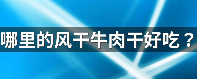 哪里的风干牛肉干好吃？