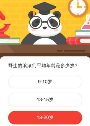 野生的滚滚们平均年龄是多少岁 森林驿站1月20日森林小课堂答案（图文）