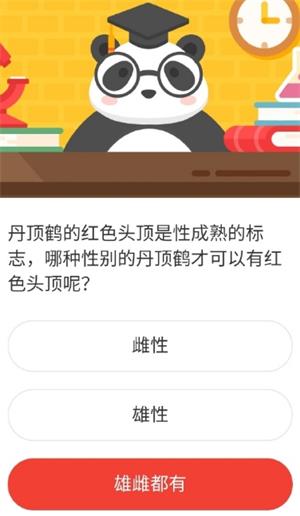 丹顶鹤的红色头顶是性成熟的标志，哪种性别的丹顶鹤才可以有红色头顶呢 森林驿站2月17日森林小课堂答案（图文）