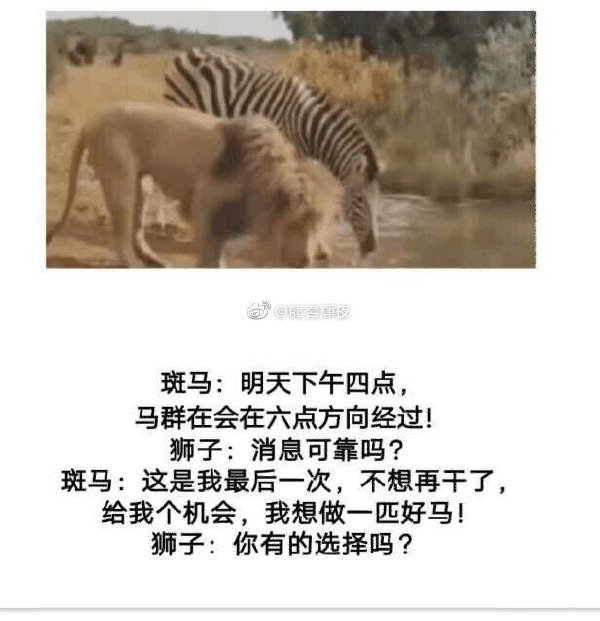 高清有马，骑兵你要吗？《家族传奇》试玩（图文）