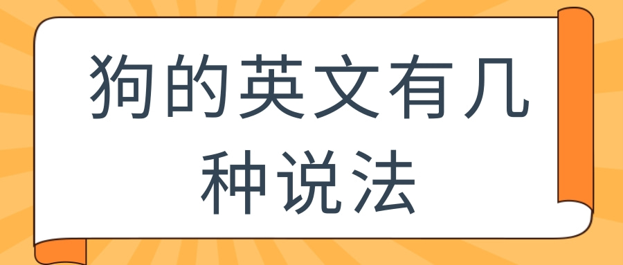 狗的英文有几种说法