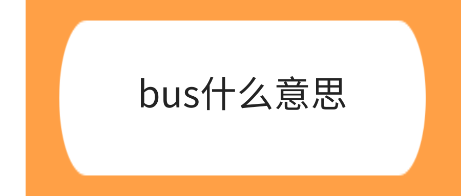 bus什么意思