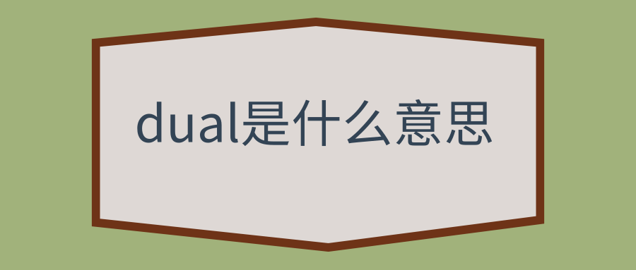 dual是什么意思