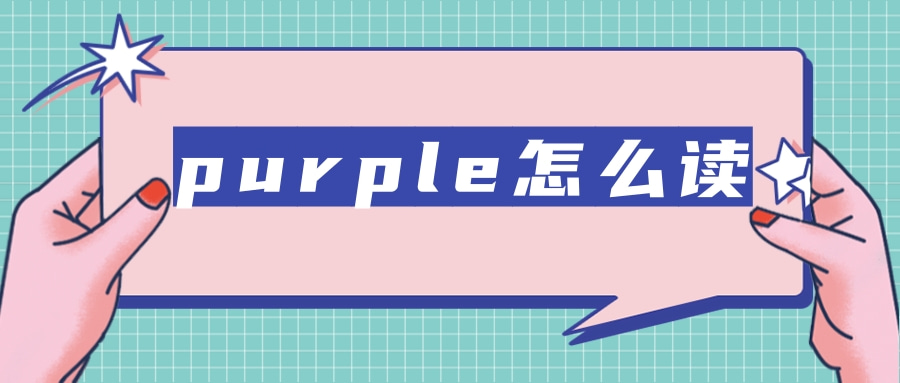 purple怎么读