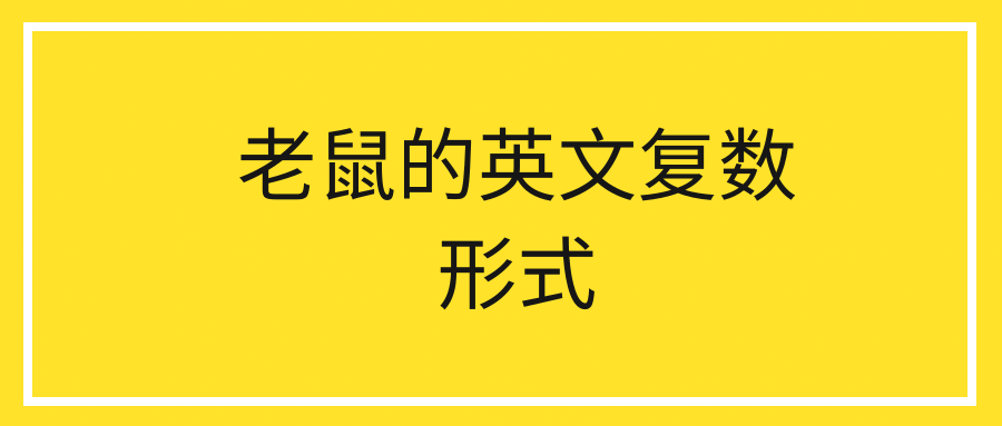 老鼠的英文复数形式