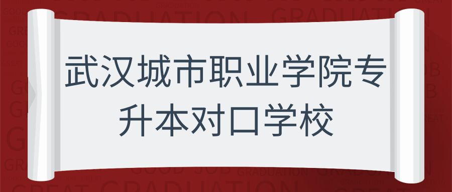 武汉城市职业学院专升本对口学校