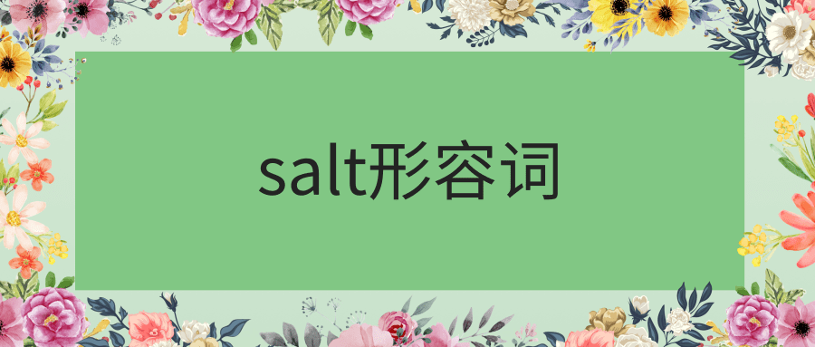 salt形容词