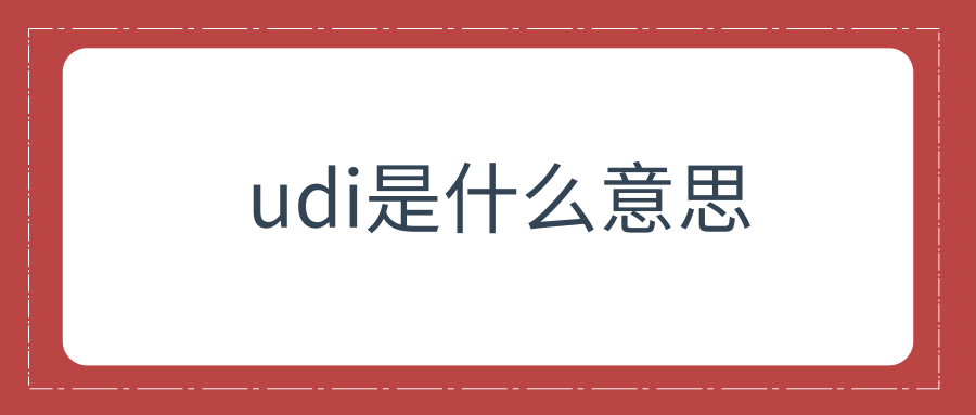 udi是什么意思