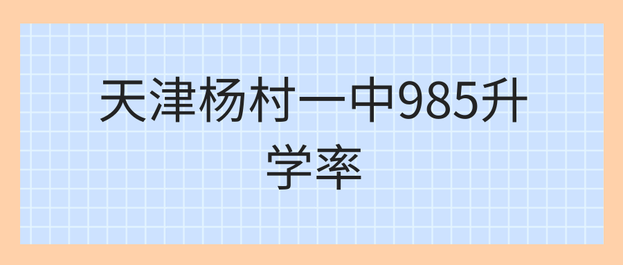 天津杨村一中985升学率