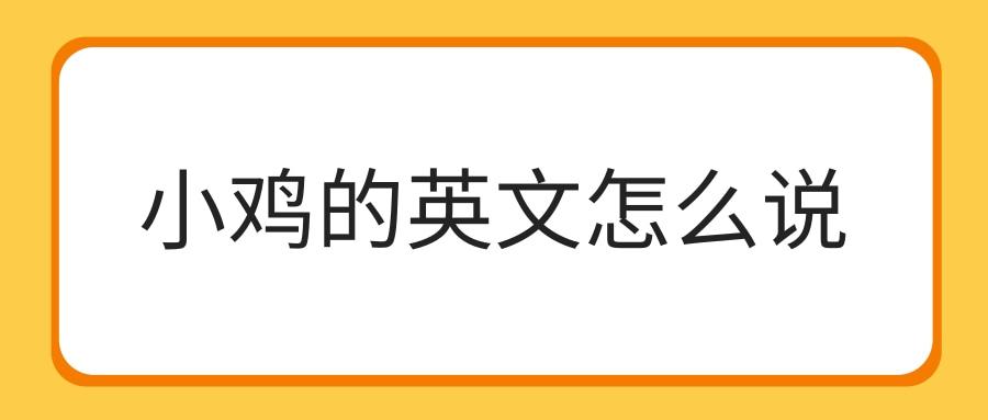 小鸡的英文怎么说