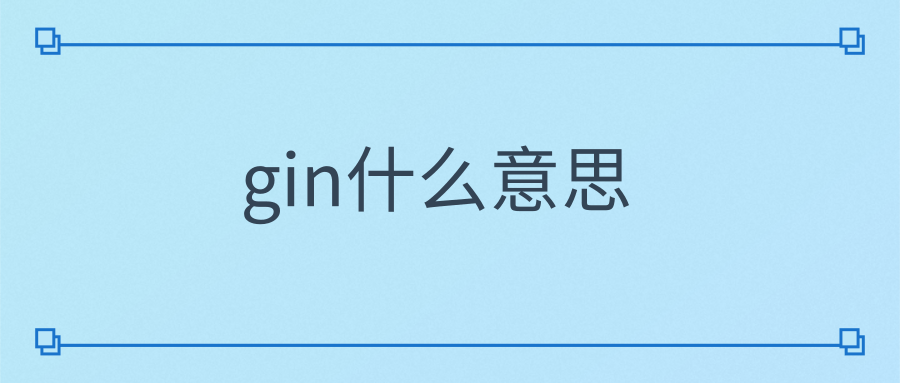 gin什么意思