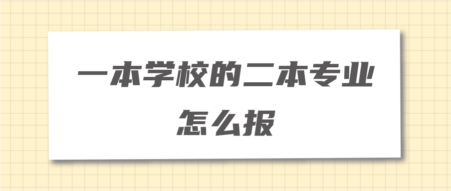 一本学校的二本专业怎么报