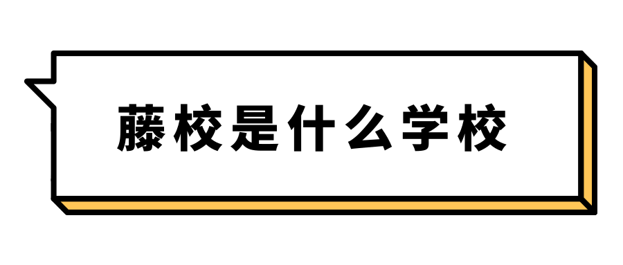 藤校是什么学校