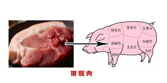 老母猪肉和普通猪肉的区别是什么（关于猪肉各部位图解与介绍）