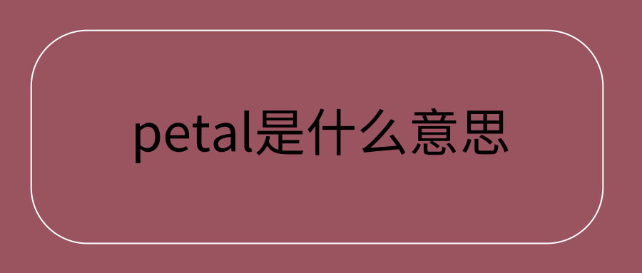 petal是什么意思