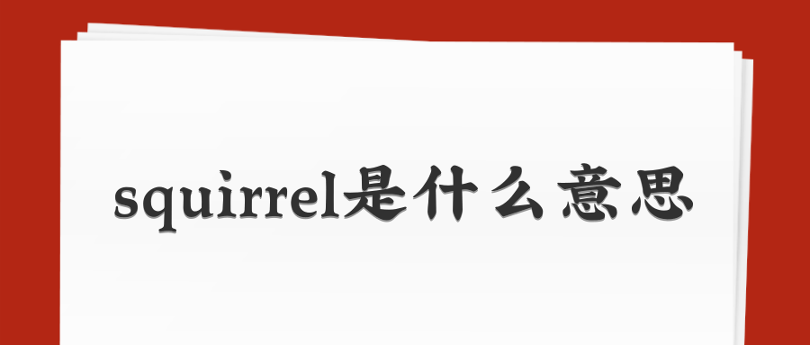 squirrel是什么意思