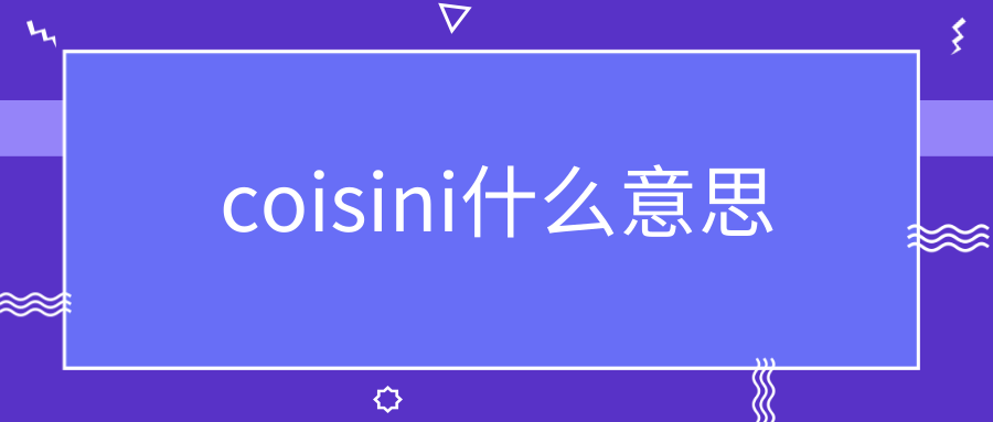 coisini什么意思