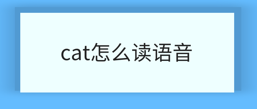 cat怎么读语音