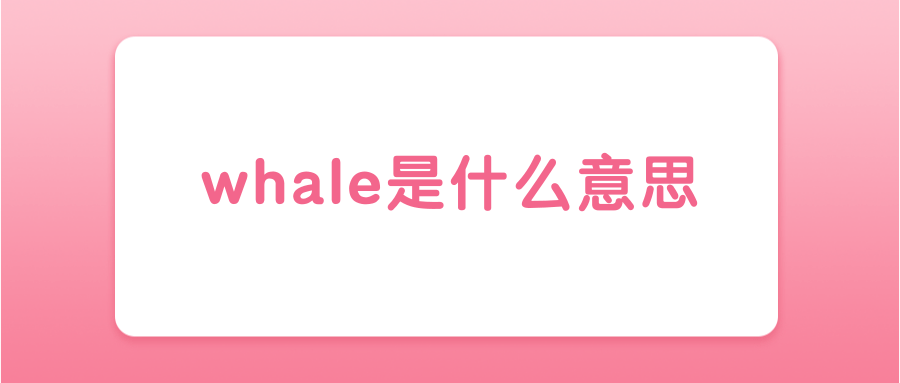 whale是什么意思