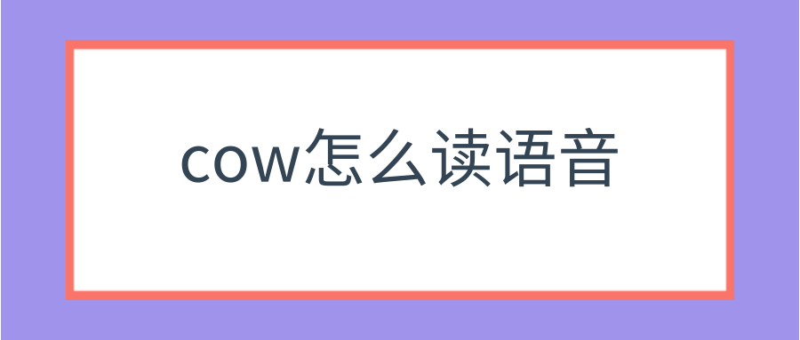 cow怎么读语音