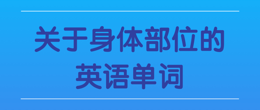 关于身体部位的英语单词