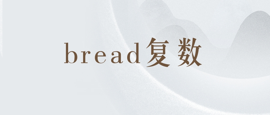 bread复数