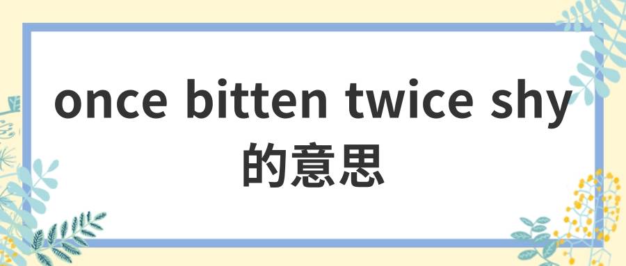 once bitten twice shy的意思