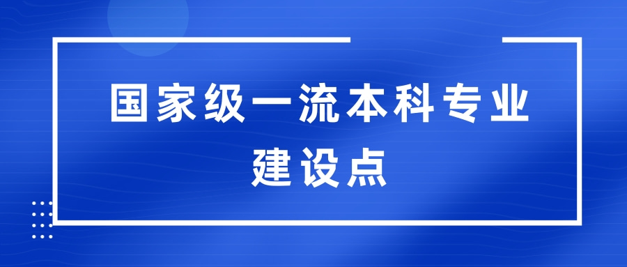 国家级一流本科专业建设点